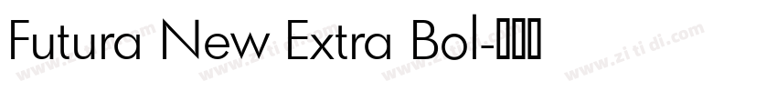 Futura New Extra Bol字体转换